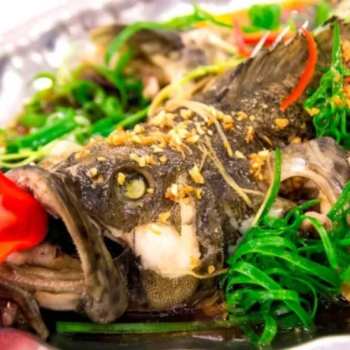 CÁ BỐNG MÚ HẤP HỒNG KONG