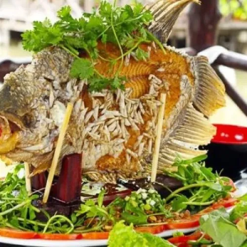 CÁ TAI TƯỢNG CHIÊN XÙ